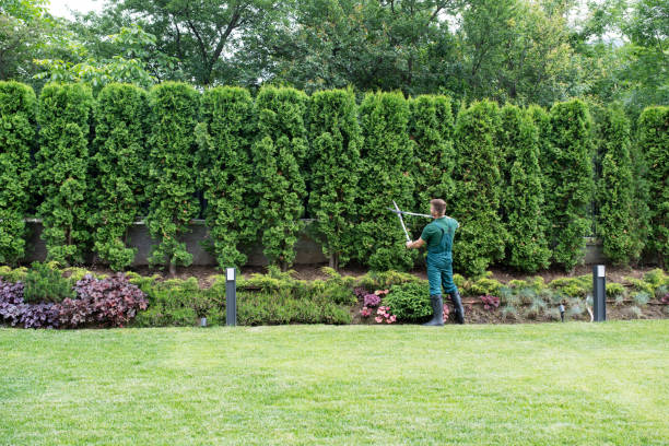 Best Lawn Drainage Solutions  in Bay Park, NY