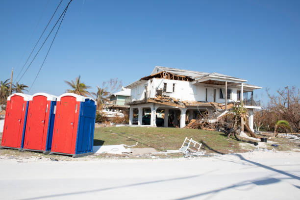 Best Utility Line Clearance  in Bay Park, NY